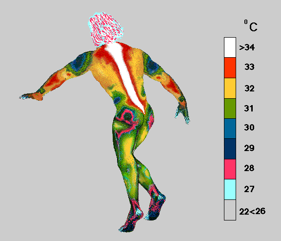 Thermogram shown is a temperature sensitive picture, taken without clothes in a 22C room show that healthy human elite athlete generates internal spinal warmth along the full length their spine - The thermogram shown is a temperature sensitive image, with colours showing temperatures in 1C steps: Grey (cool), Turquoise, Purple, Pink, Blue, Green, Yellow, Orange, White (warm)... Where Grey (cool) is 22-26C or cooler and White (warm) is 34C or warmer
